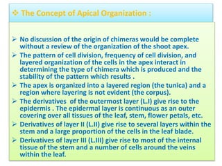 Cytogenetics