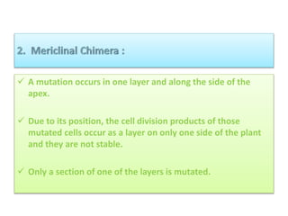 Cytogenetics