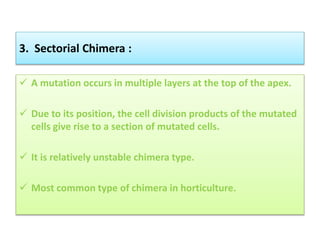 Cytogenetics