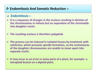 Cytogenetics