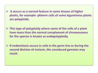 Cytogenetics