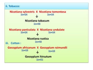 Cytogenetics