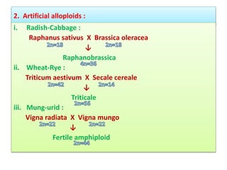 Cytogenetics