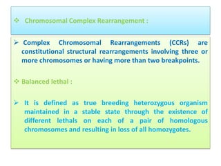 Cytogenetics