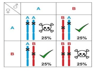 Cytogenetics