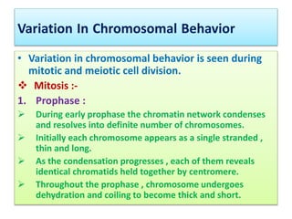 Cytogenetics