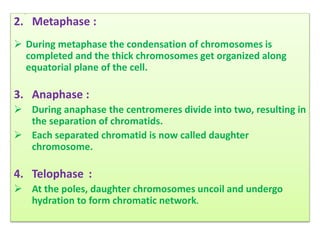 Cytogenetics