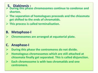 Cytogenetics