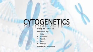 CYTOGENETICS
Group no. : GM21-16
Presented by :
• Disha
• Humayun
• Rakesh
• Rahul
• Arshiya
Guided by : Assyl mam
 