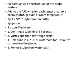 • Preparation and denaturation of the probe
mixture
• Add to the following for each target area, to a
micro centrifuge tube at room temperature
• 7μl LS /WCP Hybridization Buffer
• 1μl probe
• 2 μL purified water
• 1. Centrifuge tube for 1–3 seconds.
• 2. Vortex and then centrifuge again.
• 3. Hold tube in a 73±1°C waterbath for 5 minutes
to denature the probe.
• 4. Remove tube from water bath.
 