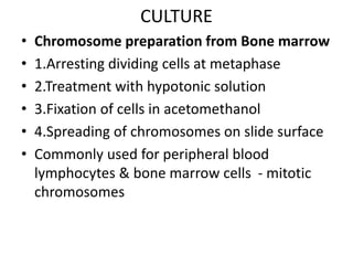 CULTURE
• Chromosome preparation from Bone marrow
• 1.Arresting dividing cells at metaphase
• 2.Treatment with hypotonic solution
• 3.Fixation of cells in acetomethanol
• 4.Spreading of chromosomes on slide surface
• Commonly used for peripheral blood
lymphocytes & bone marrow cells - mitotic
chromosomes
 