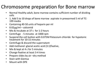 Chromosome preparation for Bone marrow
• Normal Healthy adult, bone marrow contains sufficient number of dividing
cells
• 1. Add 5 to 10 drops of bone marrow aspirate in prewarmed 5 ml of TC-
199 media
• Containing 40-50 units of heparin per ml
• 0.02µg/ml – colcemid
• Mix & Incubate at 37 c for 1-2 hours
• Centrifuge - 5 minutes at 1000 rpm
• Suspend the cell button with 0.075M Potassium chloride for hypotonic
treatment for 10-15 minutes
• Centrifuge & discard the supernatant
• Add methanol :glacial acetic acid (3:1)fixative,
• Mix & kept at 4 c for 5 minutes
• Change fixative at least 3-4 times
• Prepare slides by air –dry method
• Stain with Giemsa
• Mount with DPX
 