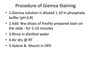 Procedure of Giemsa Staining
• 1.Giemsa solution is diluted 1:10 in phosphate
buffer (pH 6.8)
• 2.Add few drops of freshly prepared stain on
the slide - for 5-10 minutes
• 3.Rinse in distilled water
• 4.Air dry @ RT
• 5.Xylene & Mount in DPX
 
