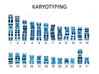 KARYOTYPING
 