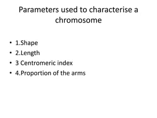 Parameters used to characterise a
chromosome
• 1.Shape
• 2.Length
• 3 Centromeric index
• 4.Proportion of the arms
 