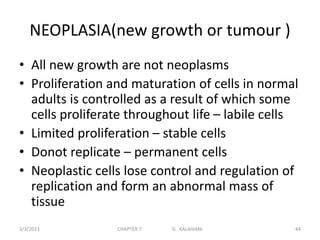 NEOPLASIA(new growth or tumour )
• All new growth are not neoplasms
• Proliferation and maturation of cells in normal
adults is controlled as a result of which some
cells proliferate throughout life – labile cells
• Limited proliferation – stable cells
• Donot replicate – permanent cells
• Neoplastic cells lose control and regulation of
replication and form an abnormal mass of
tissue
3/3/2023 CHAPTER 7 G. KALAIVANI 44
 