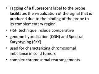 • Tagging of a fluorescent label to the probe
facilitates the visualization of the signal that is
produced due to the binding of the probe to
its complementary region.
• FISH technique include comparative
• genome hybridization (CGH) and Spectral
Karyotyping (SKY)
• used for characterizing chromosomal
imbalance in solid tumors
• complex chromosomal rearrangements
 