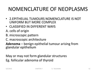 NOMENCLATURE OF NEOPLASMS
• 2.EPITHELIAL TUMOURS NOMENCLATURE IS NOT
UNIFORM BUT MORE COMPLEX
• CLASSIFIED IN DIFFERENT WAYS
A. cells of origin
B. microscopic pattern
C. macroscopic architecture
Adenoma – benign epithelial tumour arising from
glandular epithelium
May or may not form glandular structures
Eg. follicular adenoma of thyroid
3/3/2023 CHAPTER 7 G. KALAIVANI 52
 