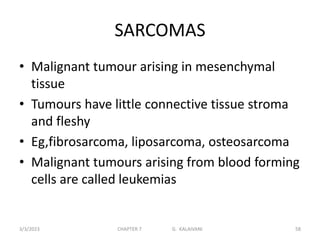 SARCOMAS
• Malignant tumour arising in mesenchymal
tissue
• Tumours have little connective tissue stroma
and fleshy
• Eg,fibrosarcoma, liposarcoma, osteosarcoma
• Malignant tumours arising from blood forming
cells are called leukemias
3/3/2023 CHAPTER 7 G. KALAIVANI 58
 