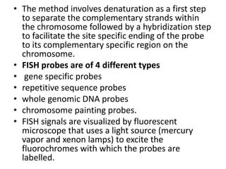 • The method involves denaturation as a first step
to separate the complementary strands within
the chromosome followed by a hybridization step
to facilitate the site specific ending of the probe
to its complementary specific region on the
chromosome.
• FISH probes are of 4 different types
• gene specific probes
• repetitive sequence probes
• whole genomic DNA probes
• chromosome painting probes.
• FISH signals are visualized by fluorescent
microscope that uses a light source (mercury
vapor and xenon lamps) to excite the
fluorochromes with which the probes are
labelled.
 