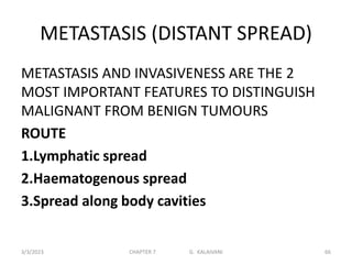 METASTASIS (DISTANT SPREAD)
METASTASIS AND INVASIVENESS ARE THE 2
MOST IMPORTANT FEATURES TO DISTINGUISH
MALIGNANT FROM BENIGN TUMOURS
ROUTE
1.Lymphatic spread
2.Haematogenous spread
3.Spread along body cavities
3/3/2023 CHAPTER 7 G. KALAIVANI 66
 