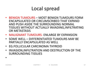 Local spread
• BENIGN TUMOURS – MOST BENIGN TUMOURS FORM
ENCAPSULATED OR CIRCUMSCRIBED THAT EXPAND
AND PUSH ASIDE THE SURROUNDING NORMAL
TISSUES WITHOUT ACTUALLY INVADING,INFILTRATING
OR METASTASIS
• MALIGNANT TUMOURS- ENLARGE BY EXPANSION
• SOME WELL – DIFFERENTIATED TUMOURS MAY BE
PARTIALLY ENCAPSULATED AS WELL
• EG.FOLLICULAR CARCINOMA THYROID
• INVASION,INFILTRATION AND DESTRUCTION OF THE
SURROUNDING TISSUES
•
3/3/2023 CHAPTER 7 G. KALAIVANI 67
 