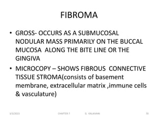 FIBROMA
• GROSS- OCCURS AS A SUBMUCOSAL
NODULAR MASS PRIMARILY ON THE BUCCAL
MUCOSA ALONG THE BITE LINE OR THE
GINGIVA
• MICROCOPY – SHOWS FIBROUS CONNECTIVE
TISSUE STROMA(consists of basement
membrane, extracellular matrix ,immune cells
& vasculature)
3/3/2023 CHAPTER 7 G. KALAIVANI 70
 