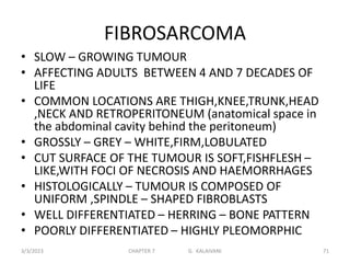 FIBROSARCOMA
• SLOW – GROWING TUMOUR
• AFFECTING ADULTS BETWEEN 4 AND 7 DECADES OF
LIFE
• COMMON LOCATIONS ARE THIGH,KNEE,TRUNK,HEAD
,NECK AND RETROPERITONEUM (anatomical space in
the abdominal cavity behind the peritoneum)
• GROSSLY – GREY – WHITE,FIRM,LOBULATED
• CUT SURFACE OF THE TUMOUR IS SOFT,FISHFLESH –
LIKE,WITH FOCI OF NECROSIS AND HAEMORRHAGES
• HISTOLOGICALLY – TUMOUR IS COMPOSED OF
UNIFORM ,SPINDLE – SHAPED FIBROBLASTS
• WELL DIFFERENTIATED – HERRING – BONE PATTERN
• POORLY DIFFERENTIATED – HIGHLY PLEOMORPHIC
3/3/2023 CHAPTER 7 G. KALAIVANI 71
 