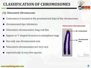 CYTOGENETICS.pptx