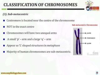 CYTOGENETICS.pptx