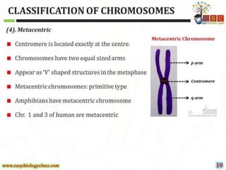 CYTOGENETICS.pptx