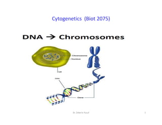 Cytogenetics
Cytogenetics (
(Biot
Biot 2075)
2075)
1
Dr. Zekeria Yusuf
 