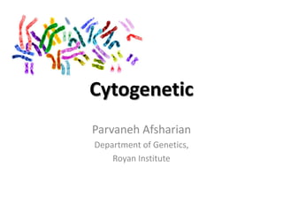 Cytogenetic
Parvaneh Afsharian
Department of Genetics,
Royan Institute

 