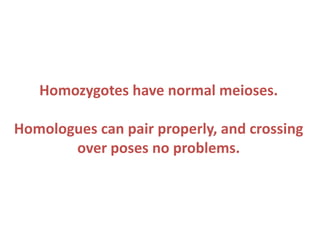 Homozygotes have normal meioses.
Homologues can pair properly, and crossing
over poses no problems.

 