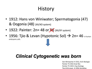 History
• 1912: Hans von Winiwater; Spermatogonia (47)
& Oogonia (48) (XX/XO system)
• 1922: Painter: 2n= 48 or 46 (XX/XY system)
• 1956: Tjio & Levan (Hypotonic Sol)  2n= 46 in human
embryonic cells

Clinical Cytogenetic was born
Von Winiwarter H 1912, Arch Biologie
Painter TS 1922 Anat Res
Painter TS 1923 J Exp Zoology
Tjio JH & Levan A 1956 Hereditas

 