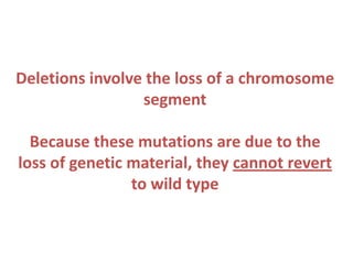 Deletions involve the loss of a chromosome
segment
Because these mutations are due to the
loss of genetic material, they cannot revert
to wild type

 
