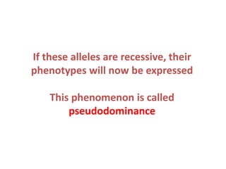 If these alleles are recessive, their
phenotypes will now be expressed
This phenomenon is called
pseudodominance

 