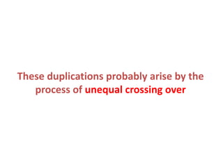 These duplications probably arise by the
process of unequal crossing over

 