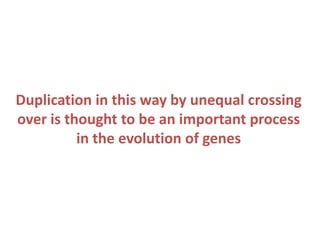 Duplication in this way by unequal crossing
over is thought to be an important process
in the evolution of genes

 