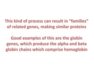 This kind of process can result in “families”
of related genes, making similar proteins
Good examples of this are the globin
genes, which produce the alpha and beta
globin chains which comprise hemoglobin

 