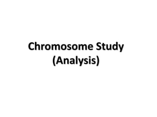 Chromosome Study
(Analysis)

 