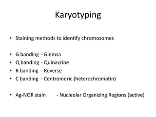 Karyotyping
• Staining methods to identify chromosomes
•
•
•
•

G banding
Q banding
R banding
C banding

- Giemsa
- Quinacrine
- Reverse
- Centromeric (heterochromatin)

• Ag-NOR stain

- Nucleolar Organizing Regions (active)

 
