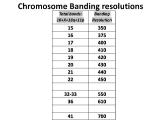 Chromosome Banding resolutions
Total bands:
10+X+18q+11p

Banding
Resolution

15
16
17
18
19
20
21
22

350
375
400
410
420
430
440
450

32-33
36

550
610

41

700

 
