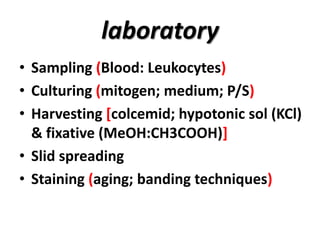 laboratory
• Sampling (Blood: Leukocytes)
• Culturing (mitogen; medium; P/S)
• Harvesting [colcemid; hypotonic sol (KCl)
& fixative (MeOH:CH3COOH)]
• Slid spreading
• Staining (aging; banding techniques)

 