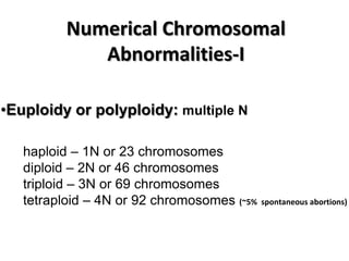 Numerical Chromosomal
Abnormalities-I
•Euploidy or polyploidy: multiple N
haploid – 1N or 23 chromosomes
diploid – 2N or 46 chromosomes
triploid – 3N or 69 chromosomes
tetraploid – 4N or 92 chromosomes (~5% spontaneous abortions)

 