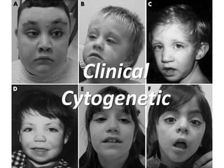 Clinical
Cytogenetic

 