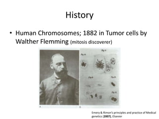 History
• Human Chromosomes; 1882 in Tumor cells by
Walther Flemming (mitosis discoverer)

Emery & Rimon’s principles and practice of Medical
genetics (2007), Elsevier

 