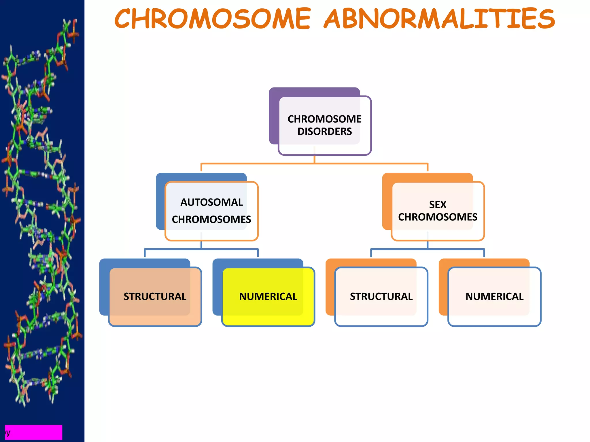CHROMOSOME ABNORMALITIES
CHROMOSOME
DISORDERS
AUTOSOMAL
CHROMOSOMES
STRUCTURAL NUMERICAL
SEX
CHROMOSOMES
STRUCTURAL NUMERICAL
 