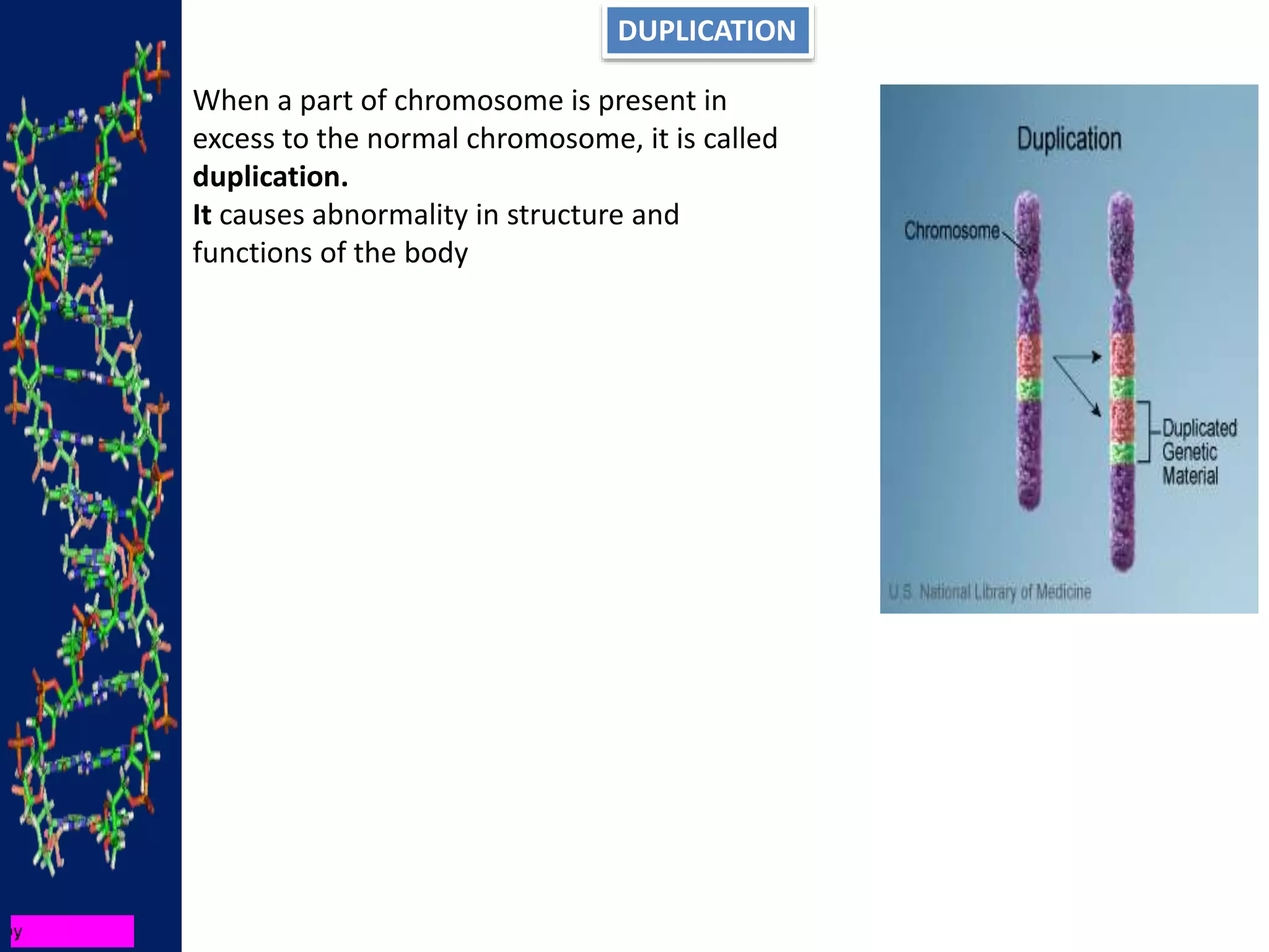 DUPLICATION
When a part of chromosome is present in
excess to the normal chromosome, it is called
duplication.
It causes abnormality in structure and
functions of the body
 