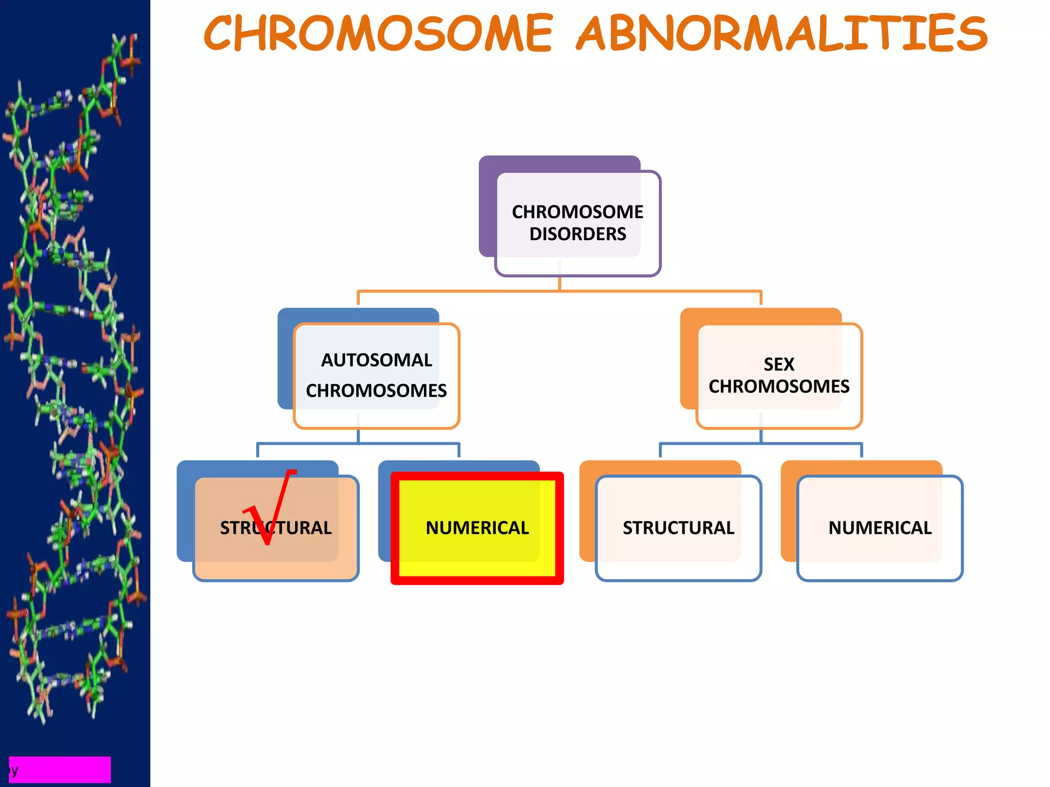 CHROMOSOME ABNORMALITIES
CHROMOSOME
DISORDERS
AUTOSOMAL
CHROMOSOMES
STRUCTURAL NUMERICAL
SEX
CHROMOSOMES
STRUCTURAL NUMERICAL
√
 
